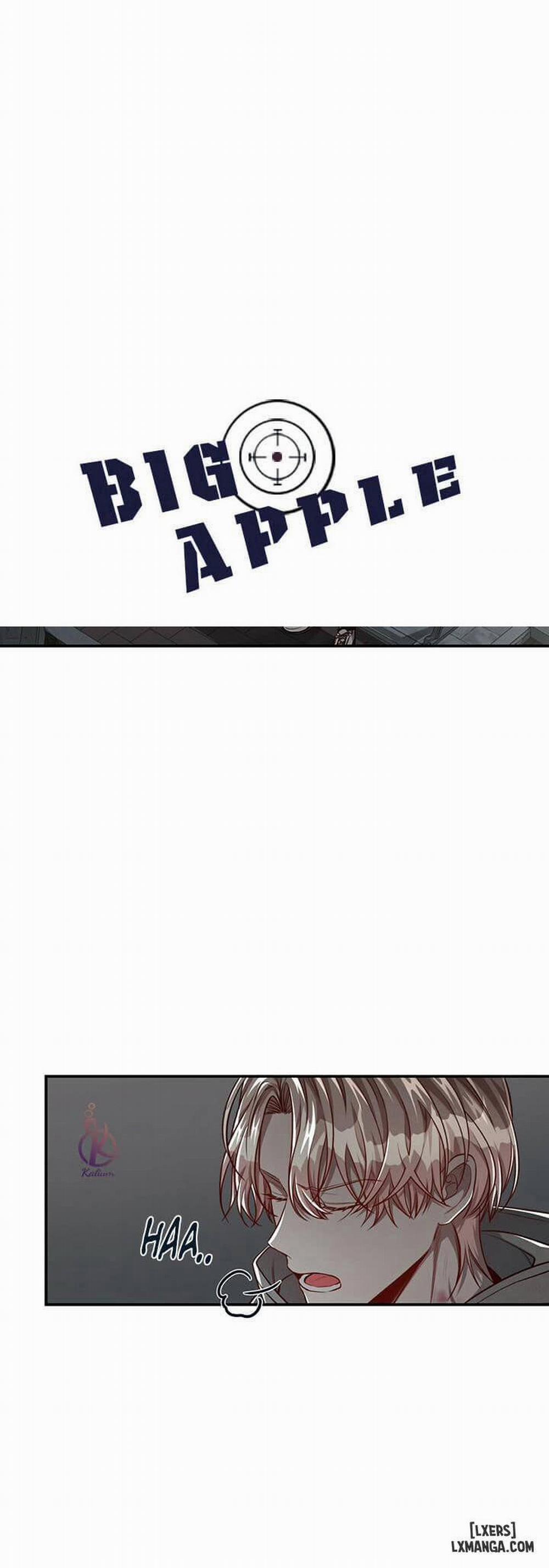 Quả Táo Lớn 48 trang 0