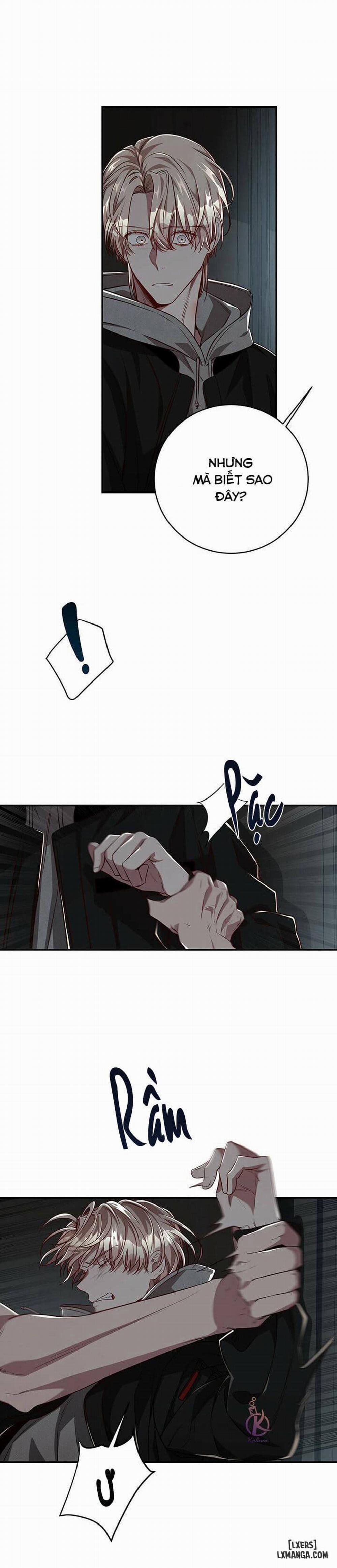 Quả Táo Lớn 49 trang 13