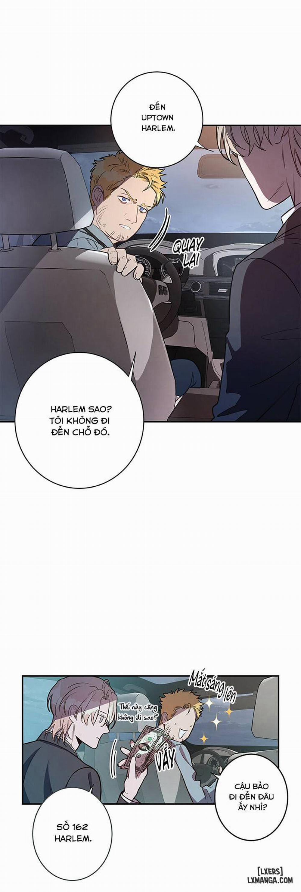 Quả Táo Lớn 5 trang 16