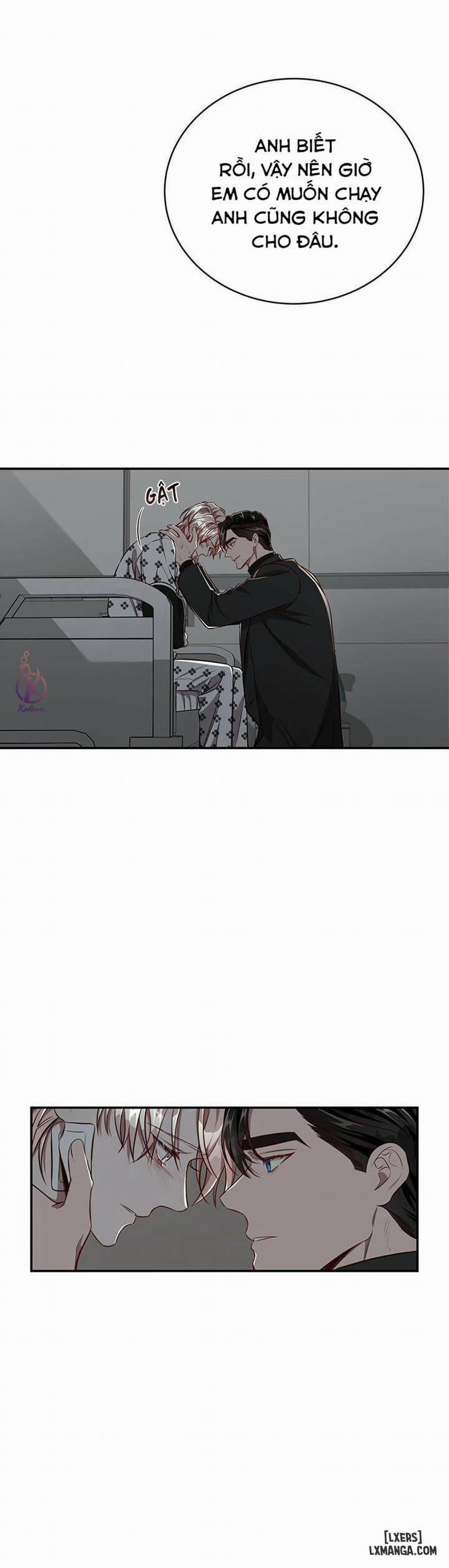 Quả Táo Lớn 56 trang 19