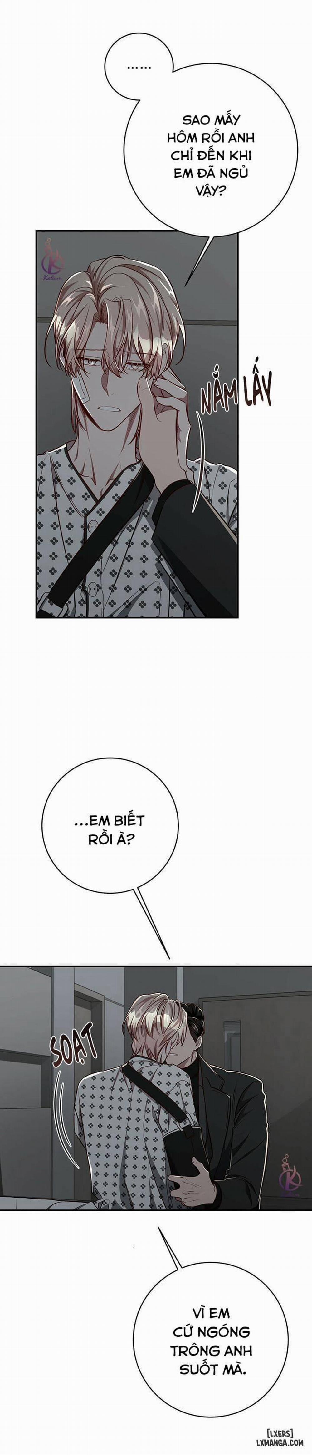 Quả Táo Lớn 56 trang 2