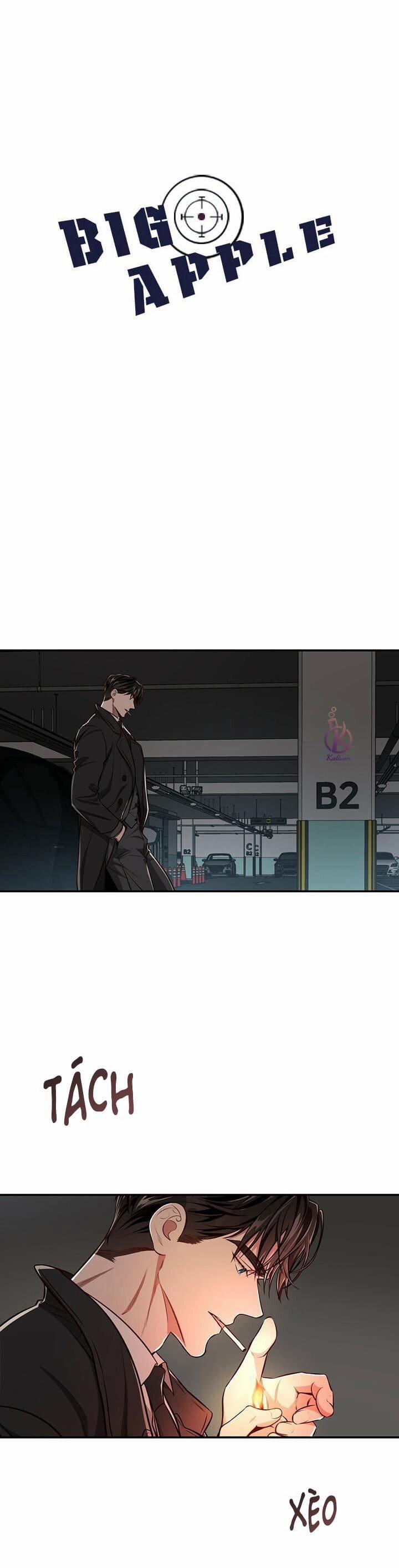 Quả Táo Lớn 60 trang 0