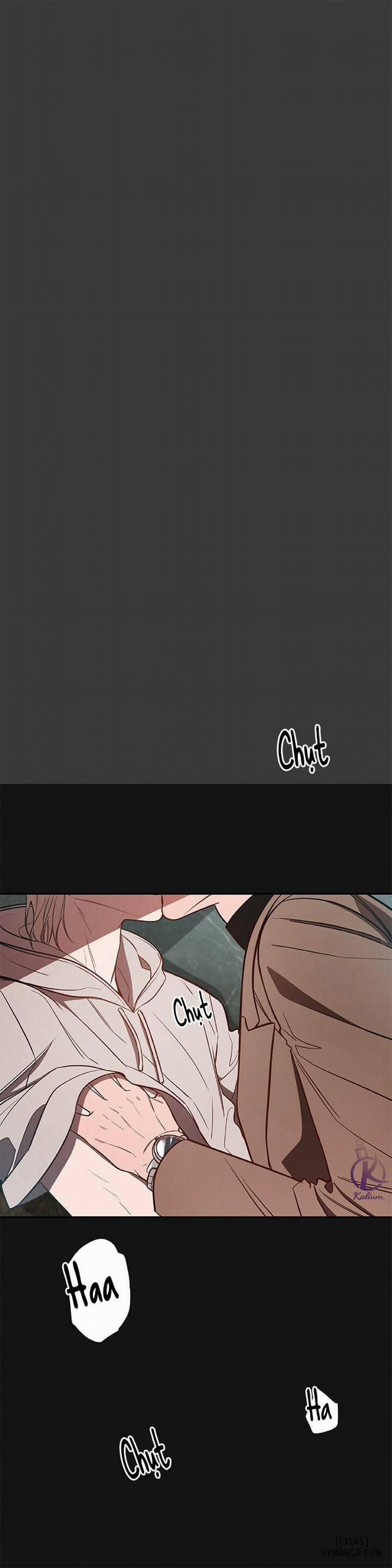 Quả Táo Lớn 8 trang 0