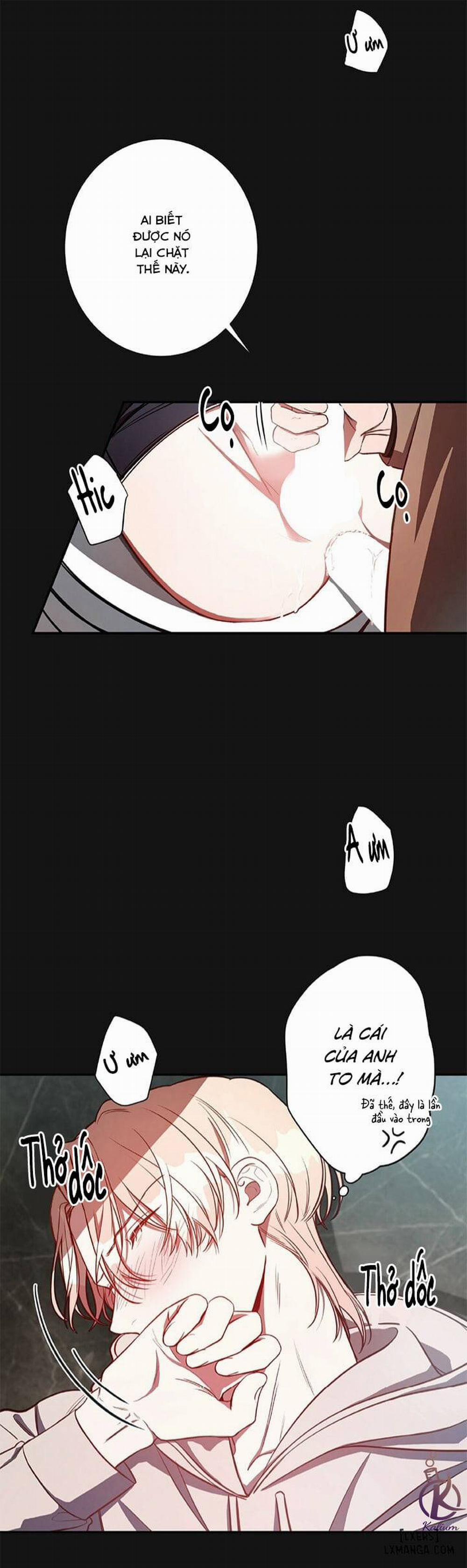 Quả Táo Lớn 8 trang 10