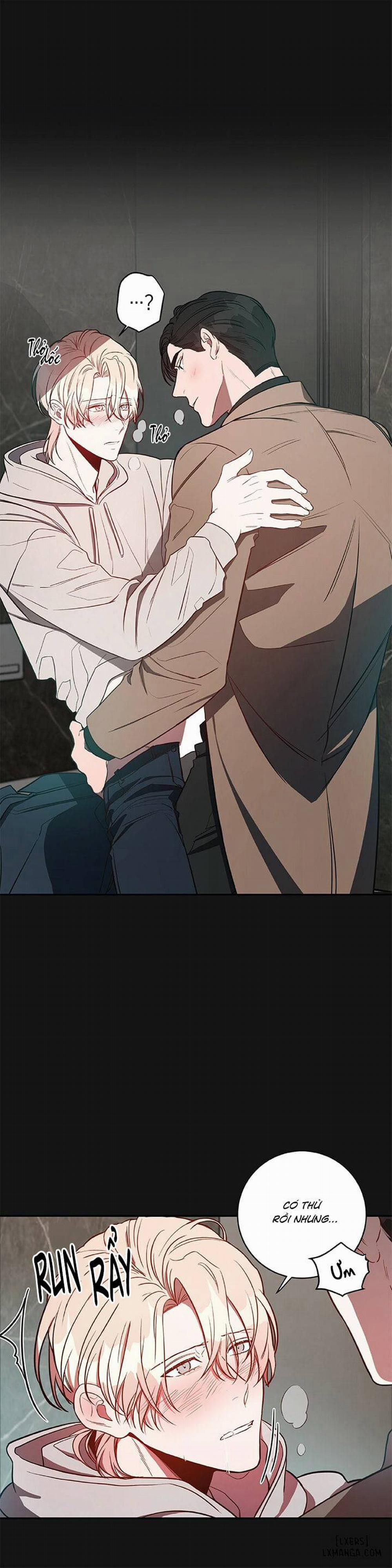 Quả Táo Lớn 8 trang 4