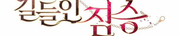 Quái Thú Bị Thuần Hóa Bởi Ác Nữ 12 trang 100