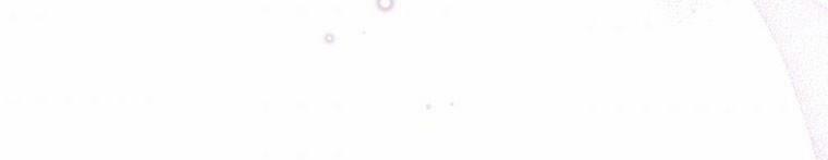 Quái Thú Bị Thuần Hóa Bởi Ác Nữ 12 trang 250