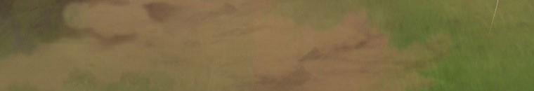 Quái Thú Bị Thuần Hóa Bởi Ác Nữ 13 trang 141