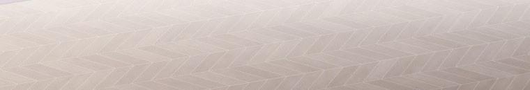 Quái Thú Bị Thuần Hóa Bởi Ác Nữ 13 trang 18