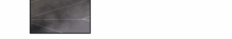 Quái Thú Bị Thuần Hóa Bởi Ác Nữ 13 trang 95