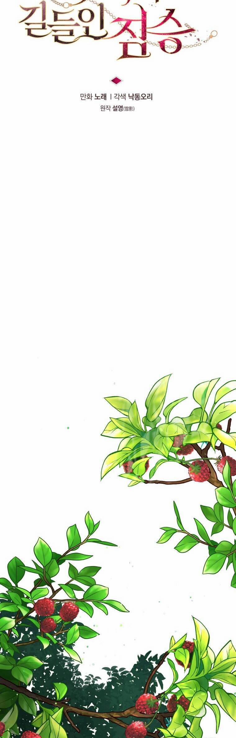 Quái Thú Bị Thuần Hóa Bởi Ác Nữ 40 trang 17