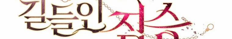 Quái Thú Bị Thuần Hóa Bởi Ác Nữ 9 trang 132