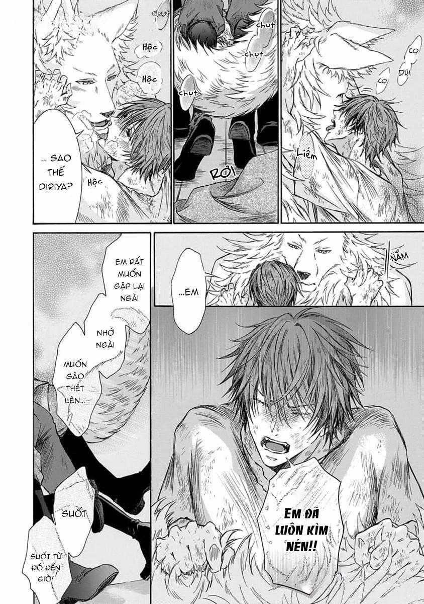 Quái Thú Không Thể Tách Rời 11 trang 11