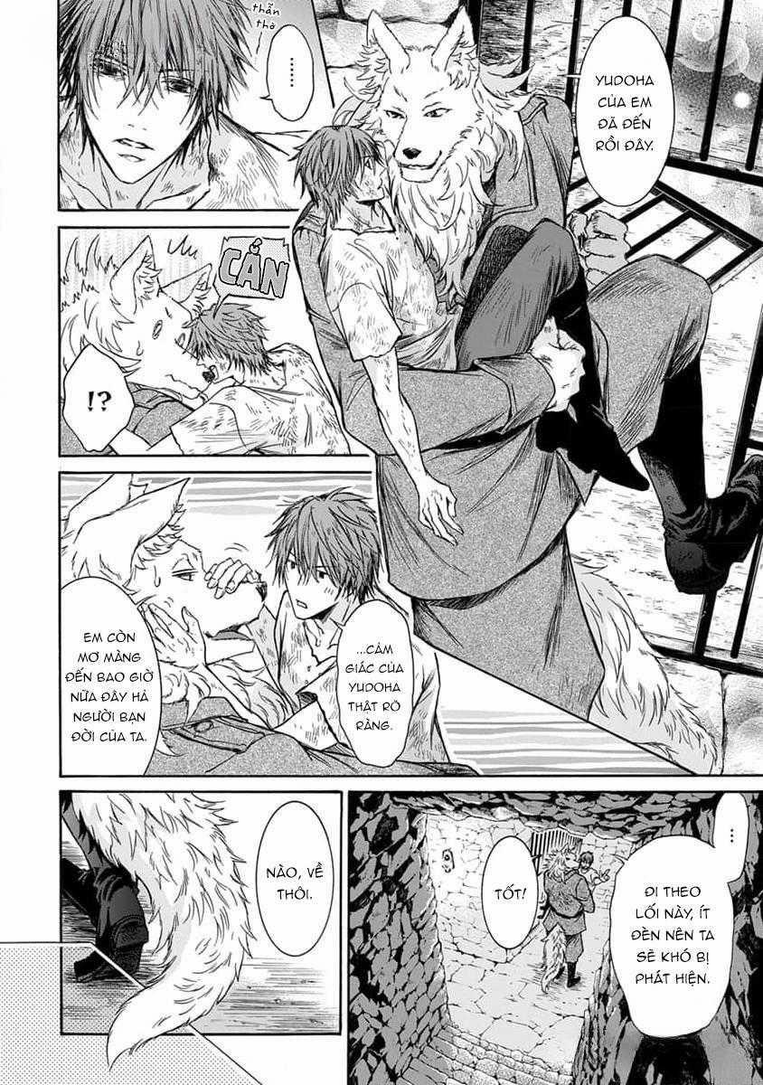 Quái Thú Không Thể Tách Rời 11 trang 9