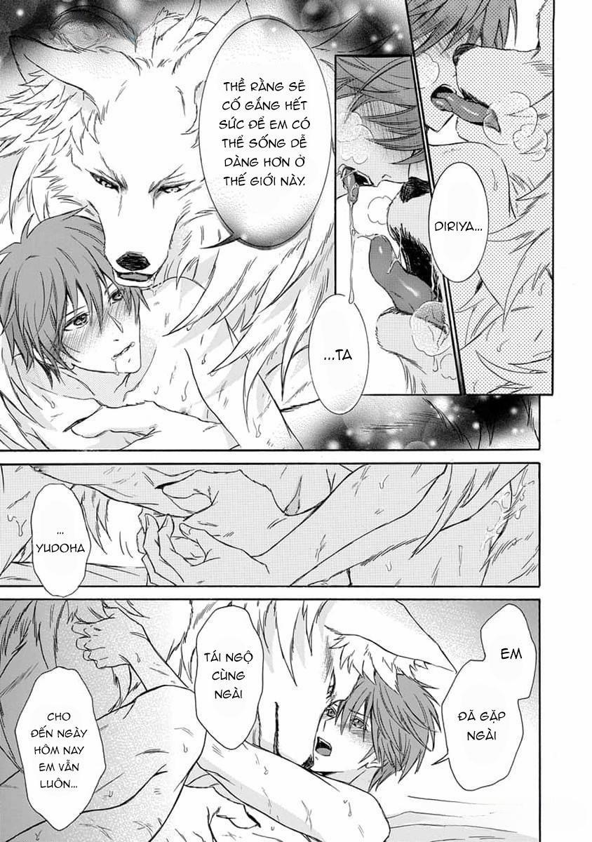 Quái Thú Không Thể Tách Rời 14 END trang 13