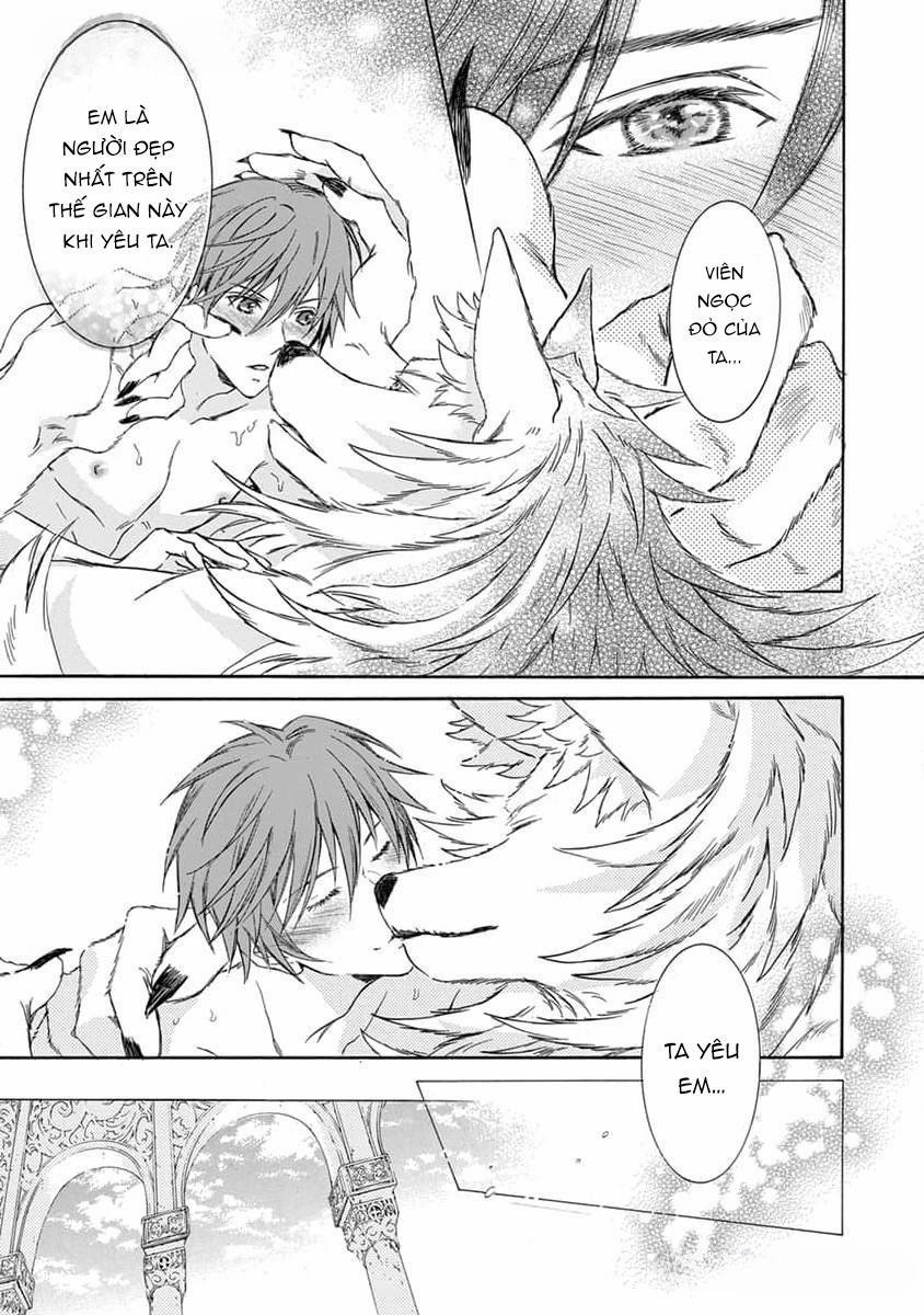 Quái Thú Không Thể Tách Rời 14 END trang 15