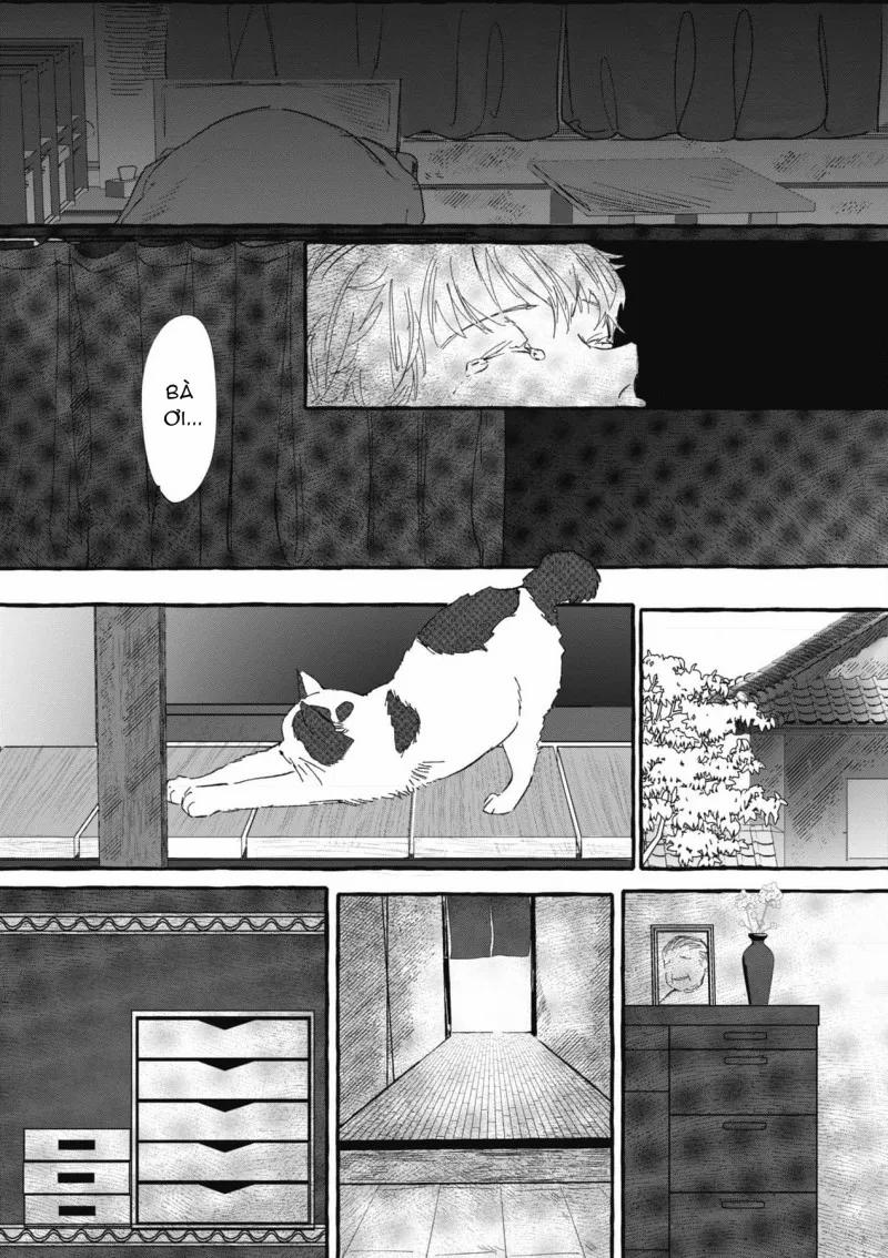 Quái Vật Đen Và Đóa Hoa Đêm 5 trang 12