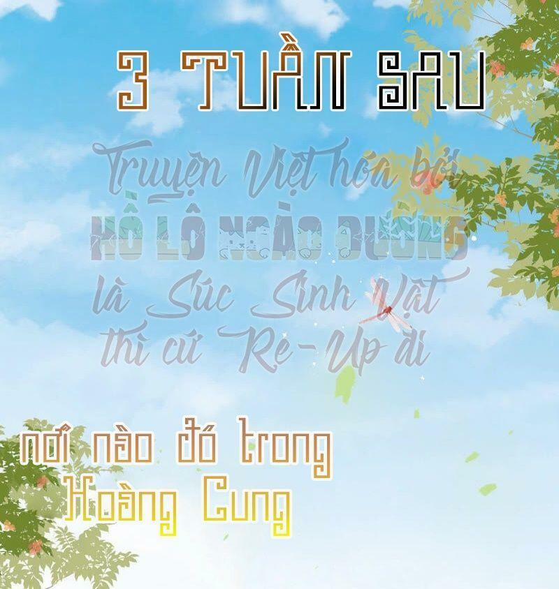 Quân Chủ Ổn Trụ 32 trang 23