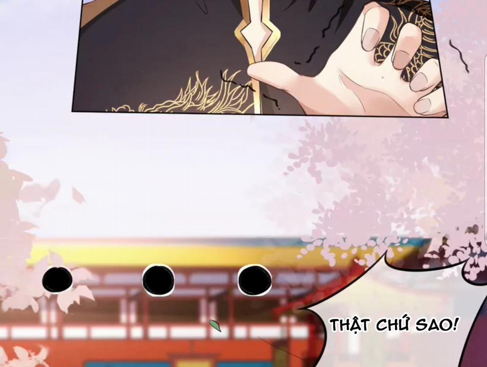 Quân Chủ Ổn Trụ 39 trang 6