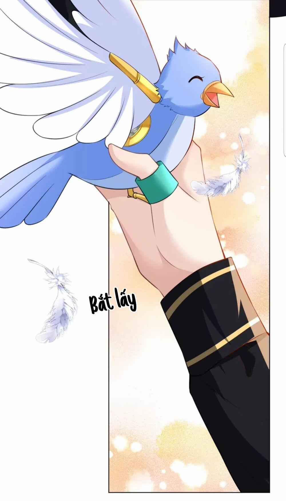 Quân Chủ Ổn Trụ 44 trang 6