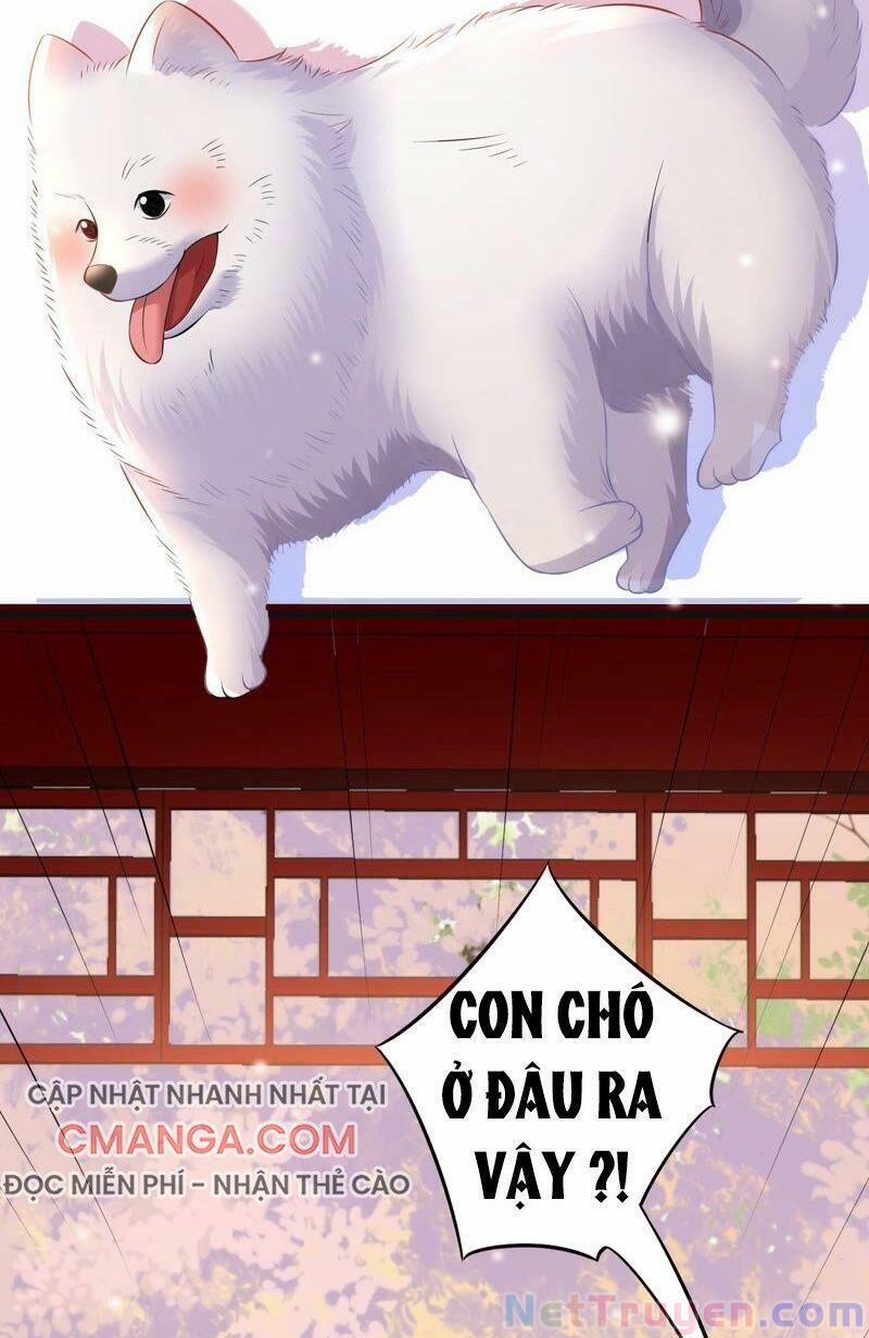 Quân Chủ Ổn Trụ 55 trang 13