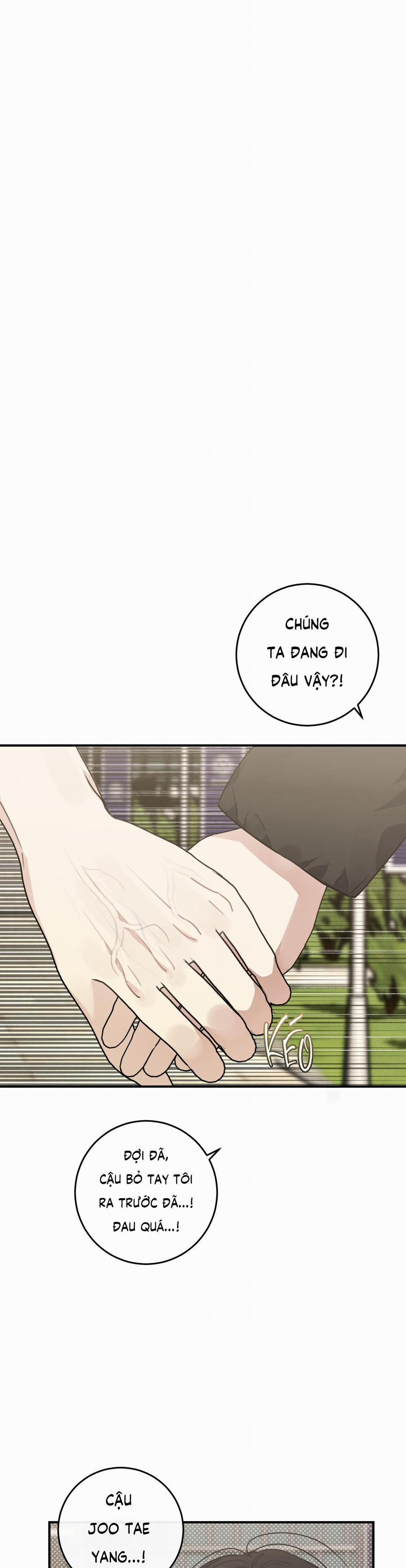 QUAN HỆ CỘNG SINH CỦA MẶT TRĂNG VÀ MẶT TRỜI 11 trang 2