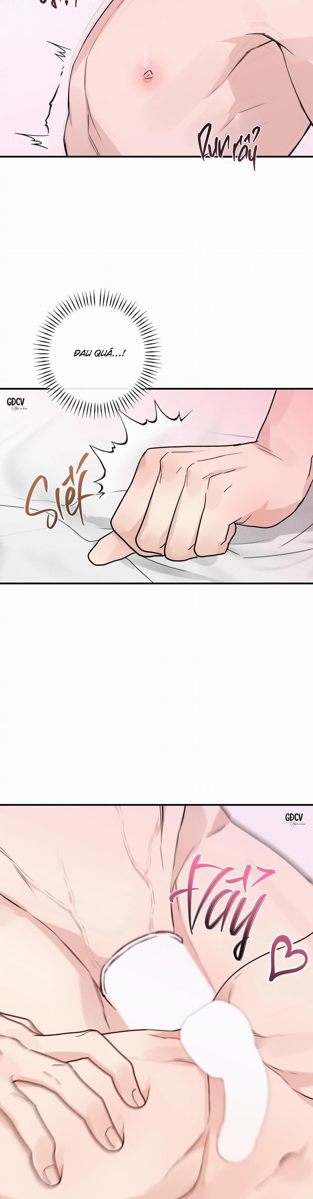 QUAN HỆ CỘNG SINH CỦA MẶT TRĂNG VÀ MẶT TRỜI 12 0 trang 17