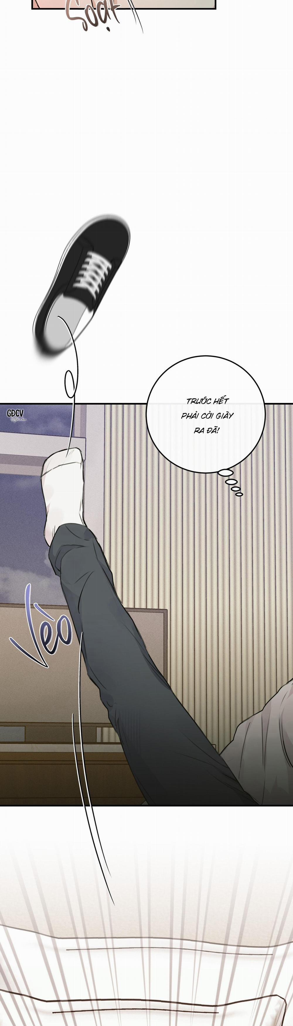 QUAN HỆ CỘNG SINH CỦA MẶT TRĂNG VÀ MẶT TRỜI 12 trang 5