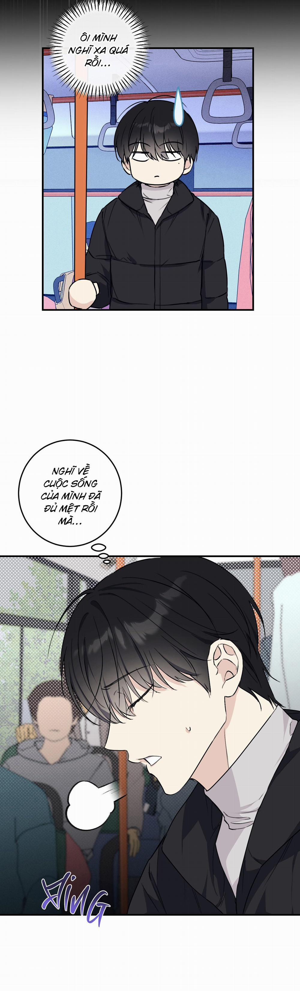 QUAN HỆ CỘNG SINH CỦA MẶT TRĂNG VÀ MẶT TRỜI 14 trang 11