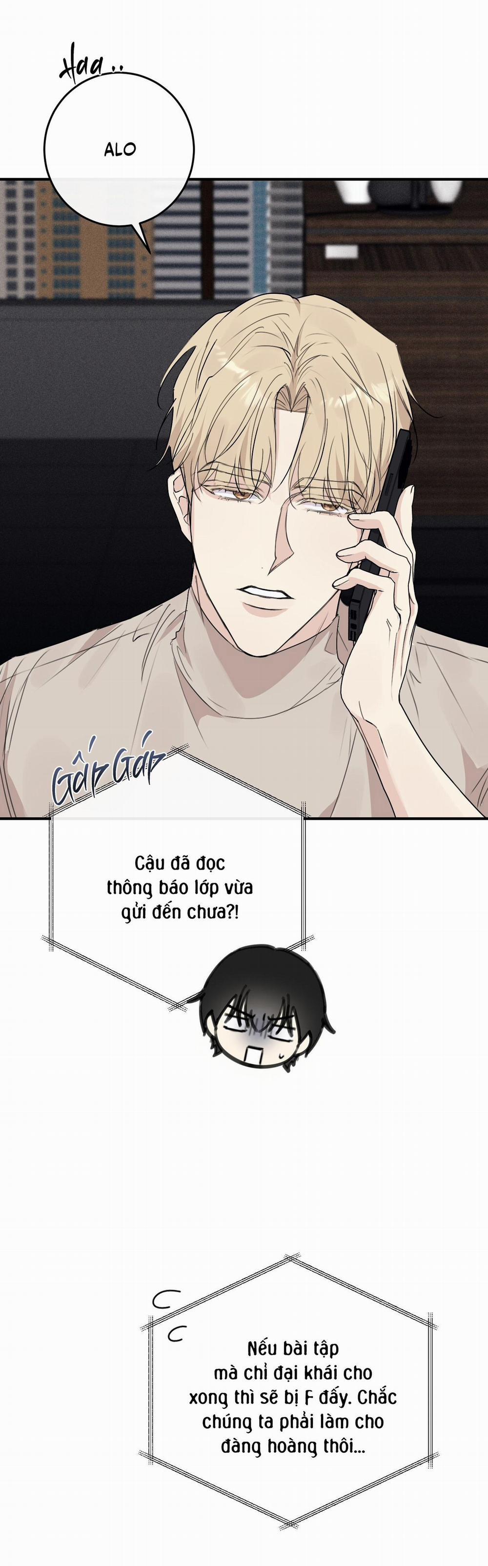 QUAN HỆ CỘNG SINH CỦA MẶT TRĂNG VÀ MẶT TRỜI 14 trang 15