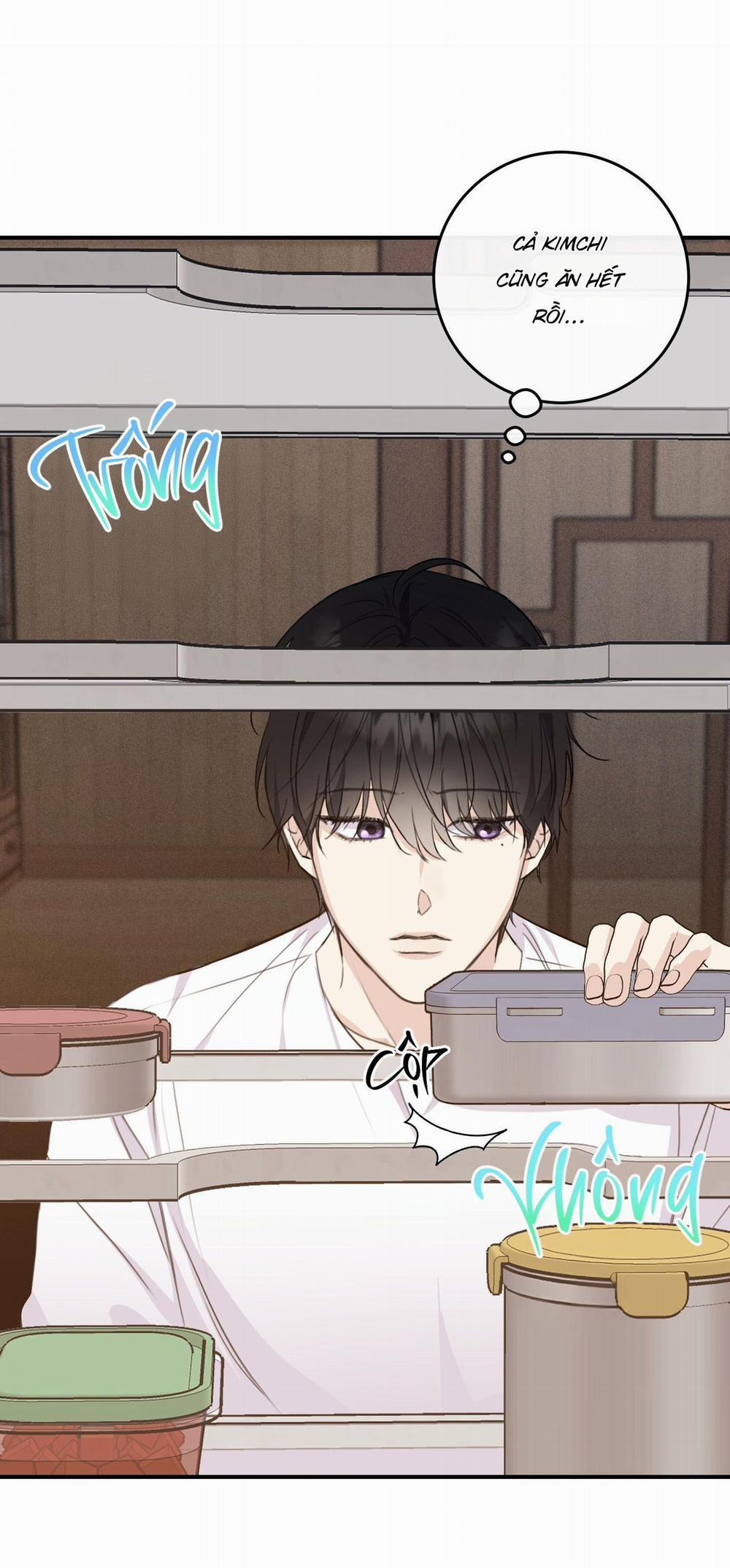 QUAN HỆ CỘNG SINH CỦA MẶT TRĂNG VÀ MẶT TRỜI 16 trang 19