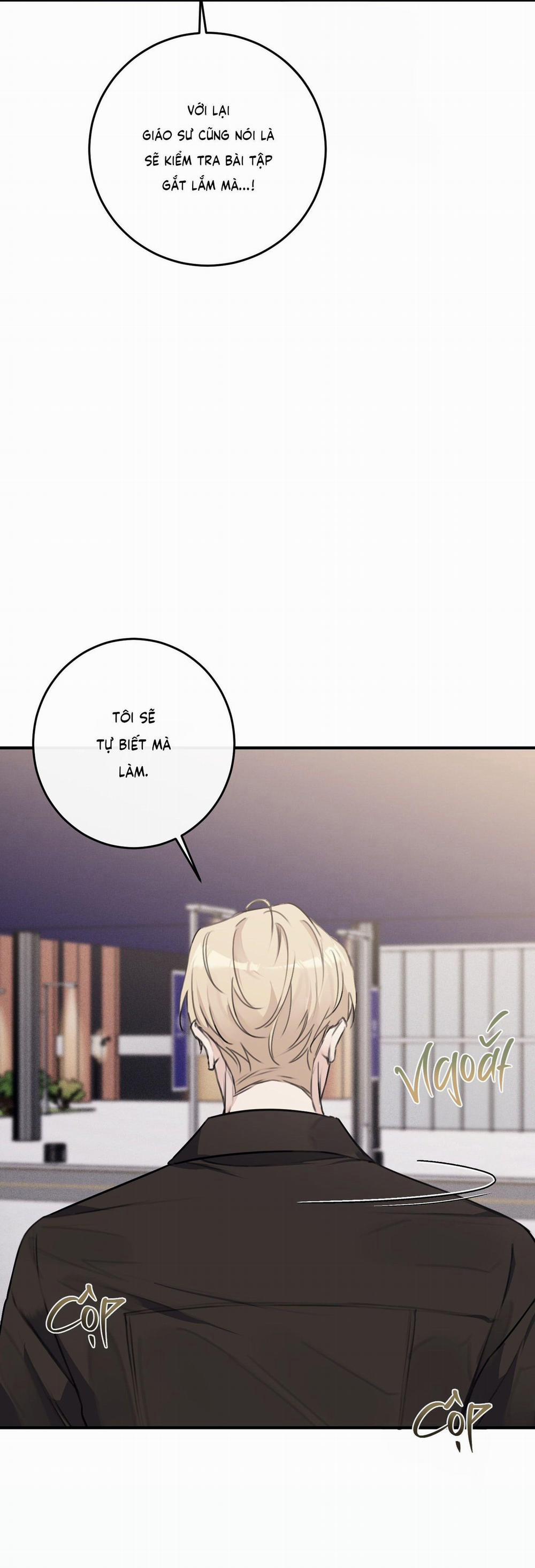 QUAN HỆ CỘNG SINH CỦA MẶT TRĂNG VÀ MẶT TRỜI 16 trang 37