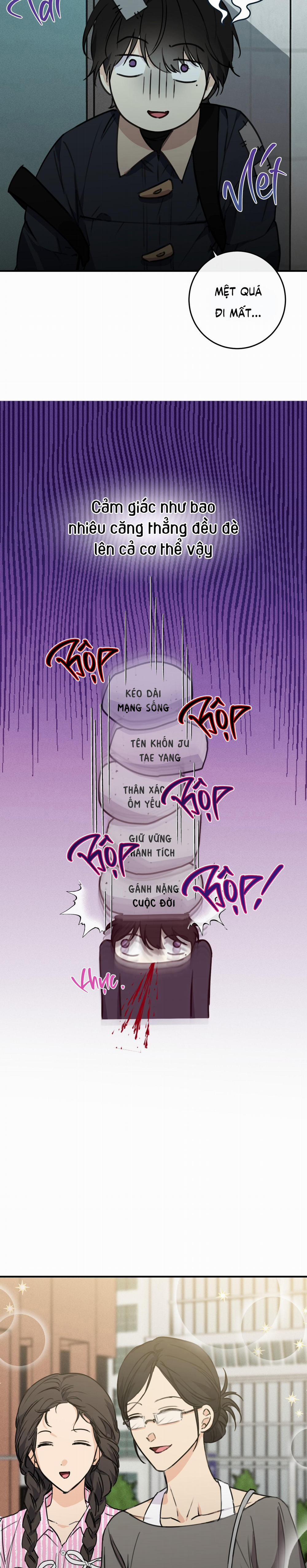 QUAN HỆ CỘNG SINH CỦA MẶT TRĂNG VÀ MẶT TRỜI 17 trang 1