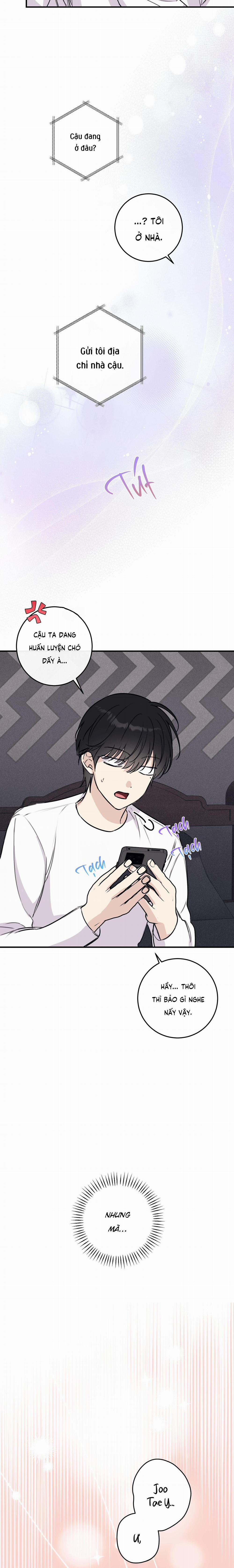 QUAN HỆ CỘNG SINH CỦA MẶT TRĂNG VÀ MẶT TRỜI 17 trang 28