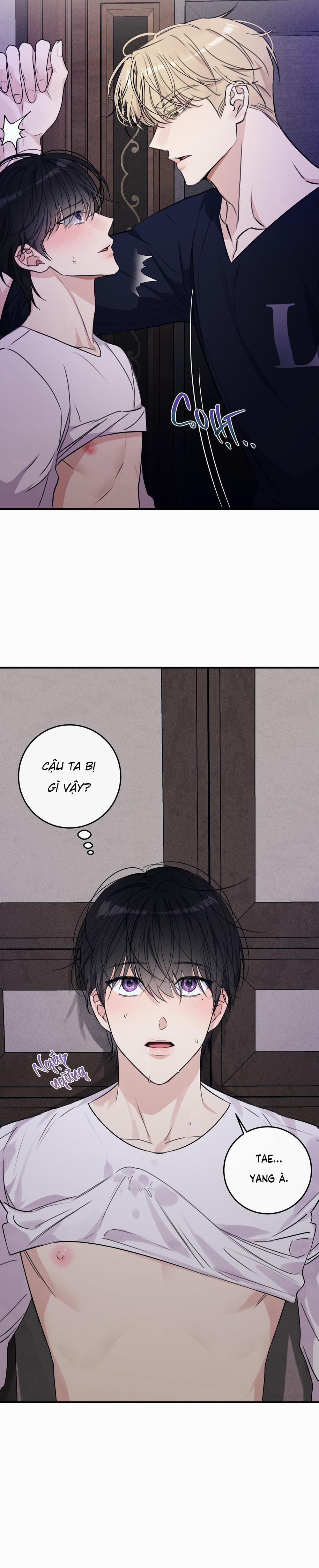 QUAN HỆ CỘNG SINH CỦA MẶT TRĂNG VÀ MẶT TRỜI 19 0 trang 11