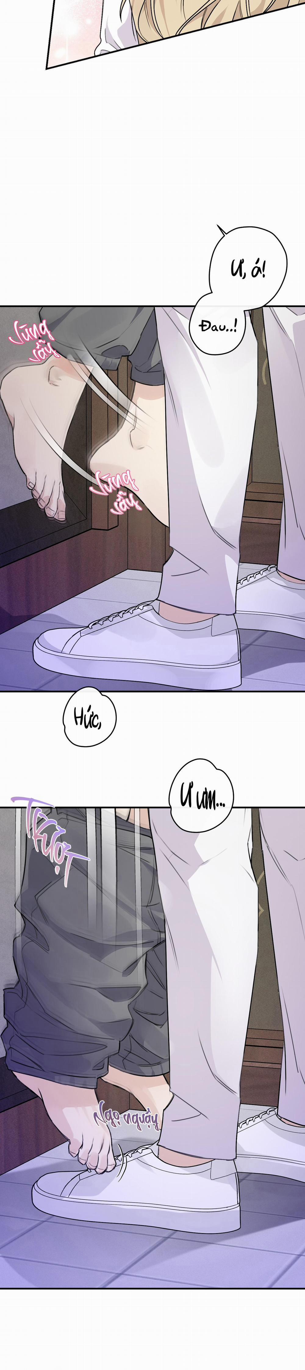 QUAN HỆ CỘNG SINH CỦA MẶT TRĂNG VÀ MẶT TRỜI 19 0 trang 20