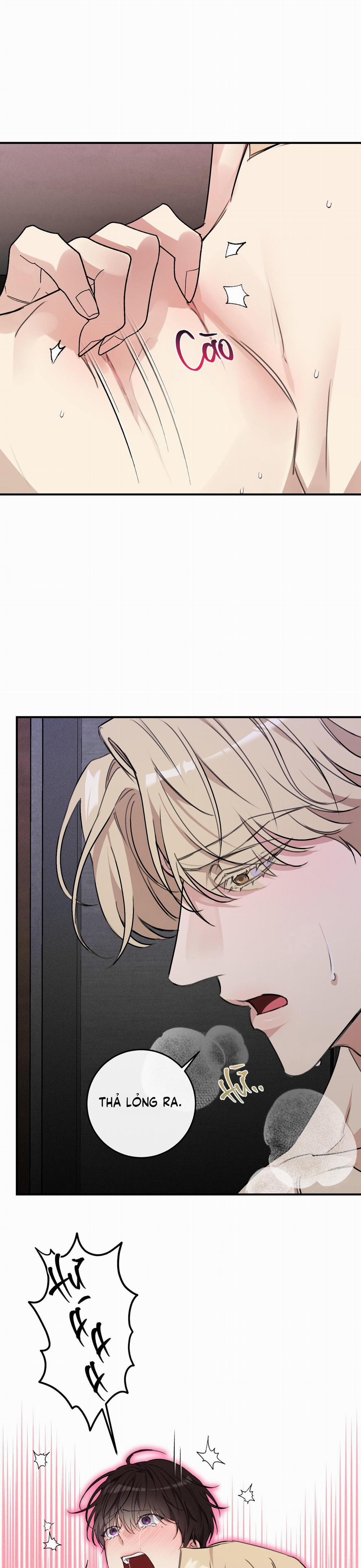 QUAN HỆ CỘNG SINH CỦA MẶT TRĂNG VÀ MẶT TRỜI 19 0 trang 24