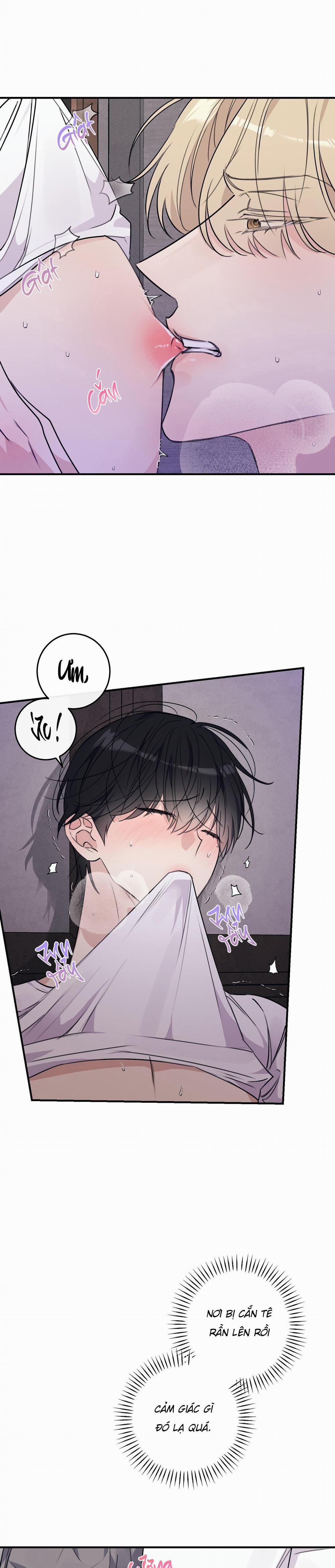 QUAN HỆ CỘNG SINH CỦA MẶT TRĂNG VÀ MẶT TRỜI 19 0 trang 6