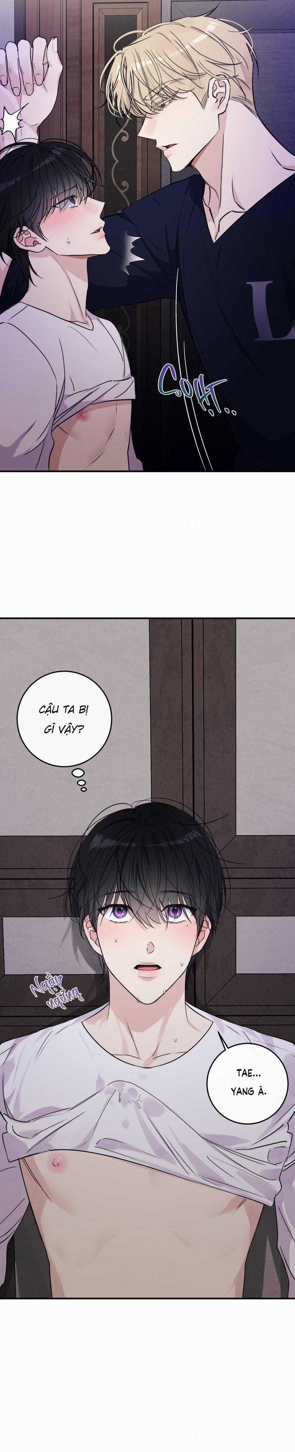 QUAN HỆ CỘNG SINH CỦA MẶT TRĂNG VÀ MẶT TRỜI 19 trang 11