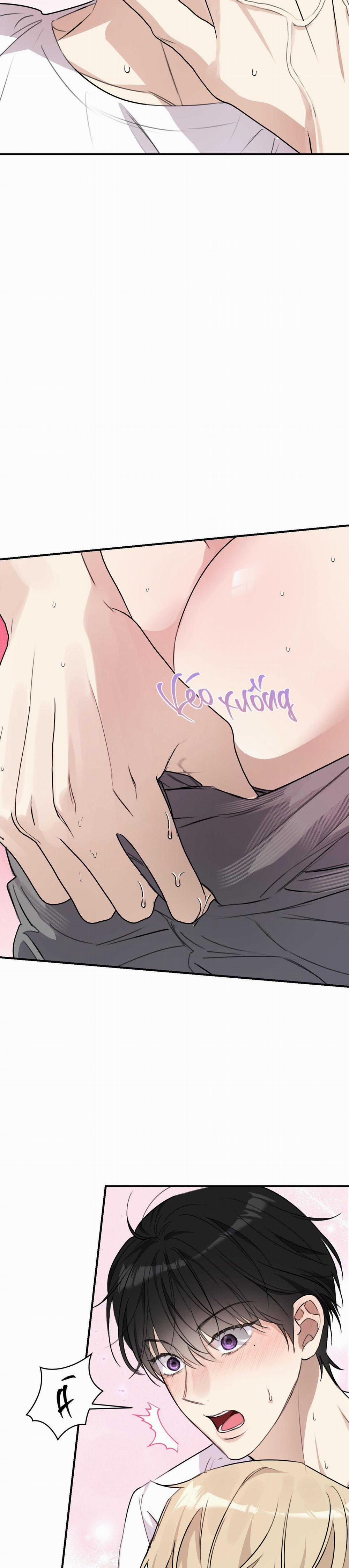 QUAN HỆ CỘNG SINH CỦA MẶT TRĂNG VÀ MẶT TRỜI 19 trang 19