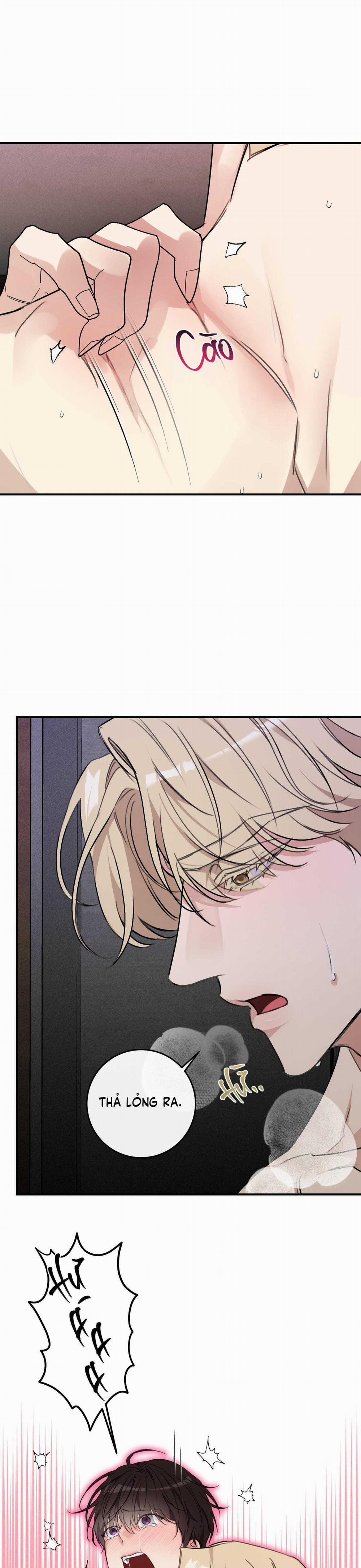 QUAN HỆ CỘNG SINH CỦA MẶT TRĂNG VÀ MẶT TRỜI 19 trang 24