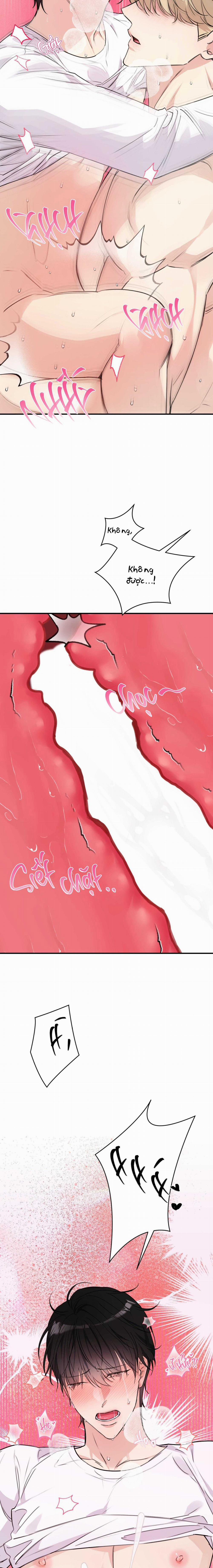 QUAN HỆ CỘNG SINH CỦA MẶT TRĂNG VÀ MẶT TRỜI 19 trang 28