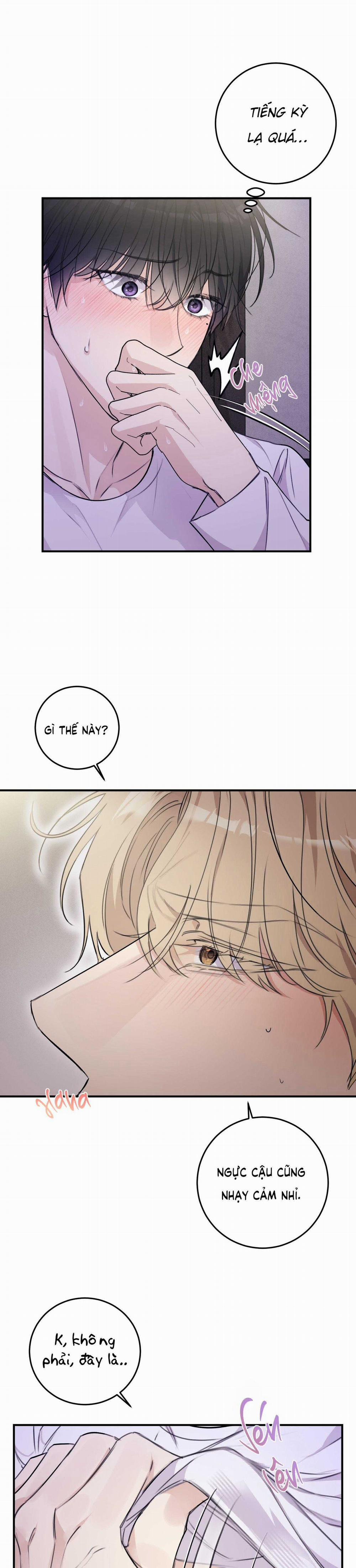 QUAN HỆ CỘNG SINH CỦA MẶT TRĂNG VÀ MẶT TRỜI 19 trang 3