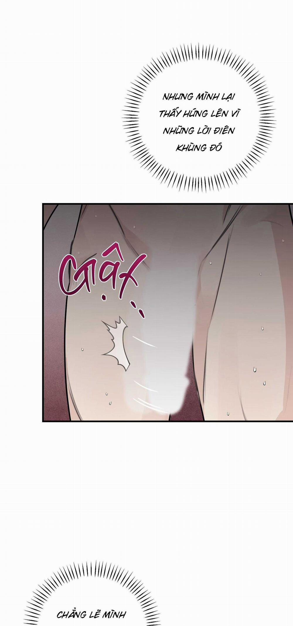 QUAN HỆ CỘNG SINH CỦA MẶT TRĂNG VÀ MẶT TRỜI 20 trang 24