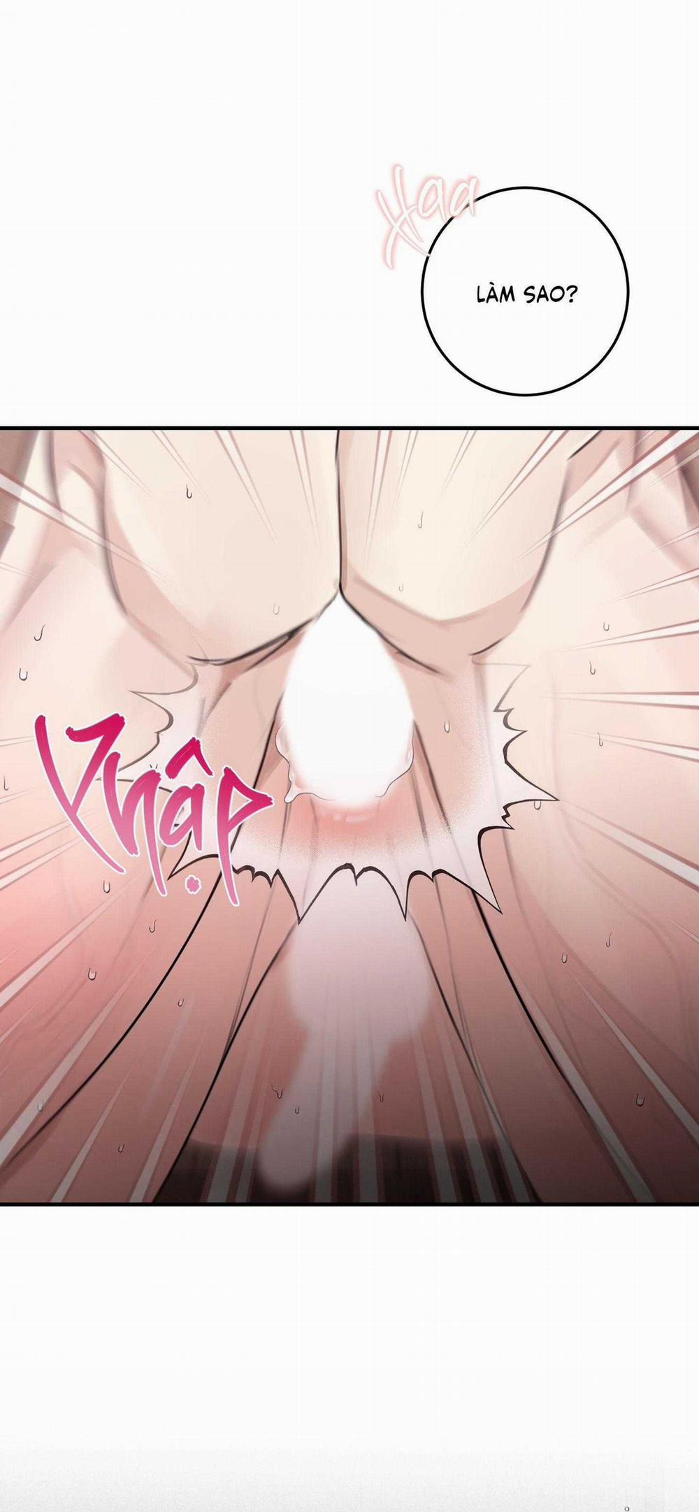 QUAN HỆ CỘNG SINH CỦA MẶT TRĂNG VÀ MẶT TRỜI 20 trang 36