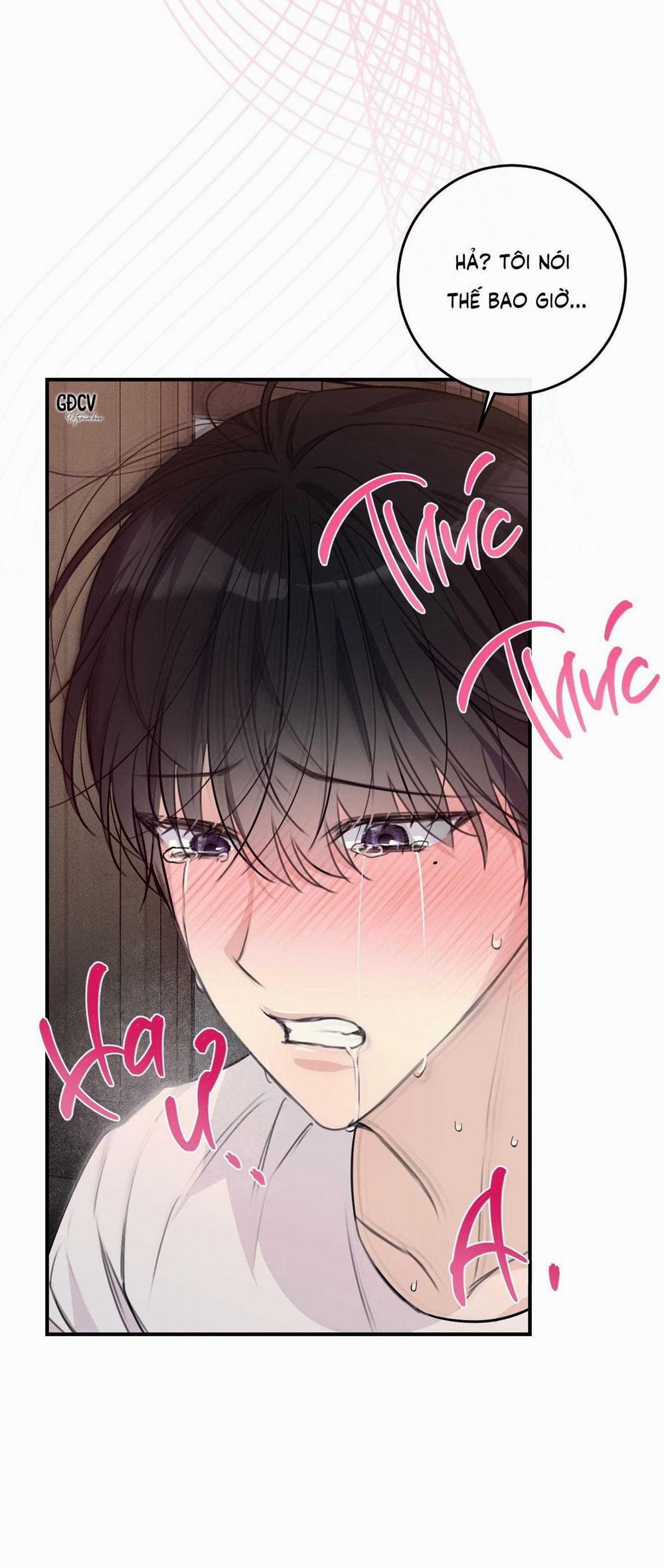 QUAN HỆ CỘNG SINH CỦA MẶT TRĂNG VÀ MẶT TRỜI 20 trang 40