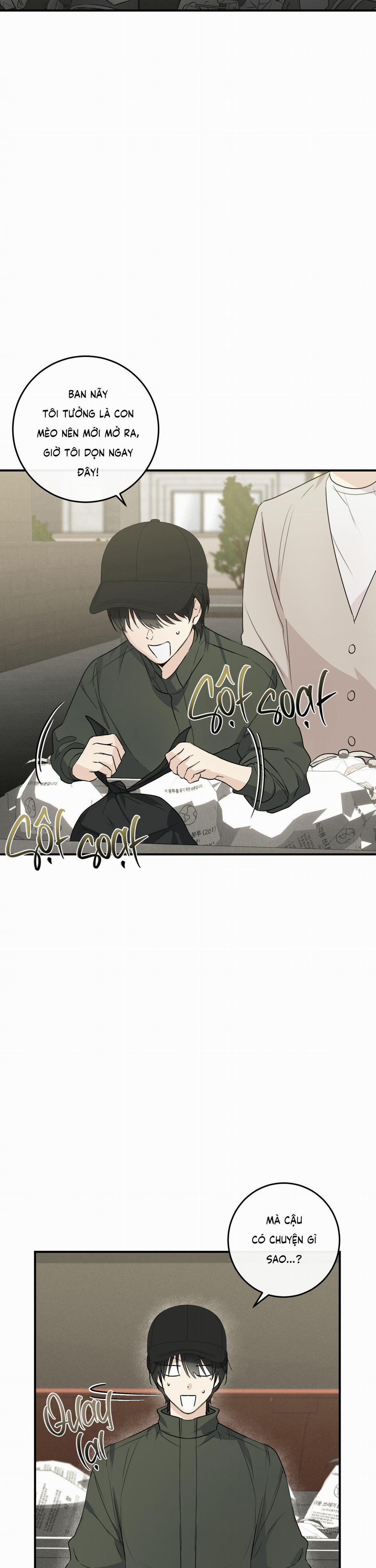 QUAN HỆ CỘNG SINH CỦA MẶT TRĂNG VÀ MẶT TRỜI 7 trang 13