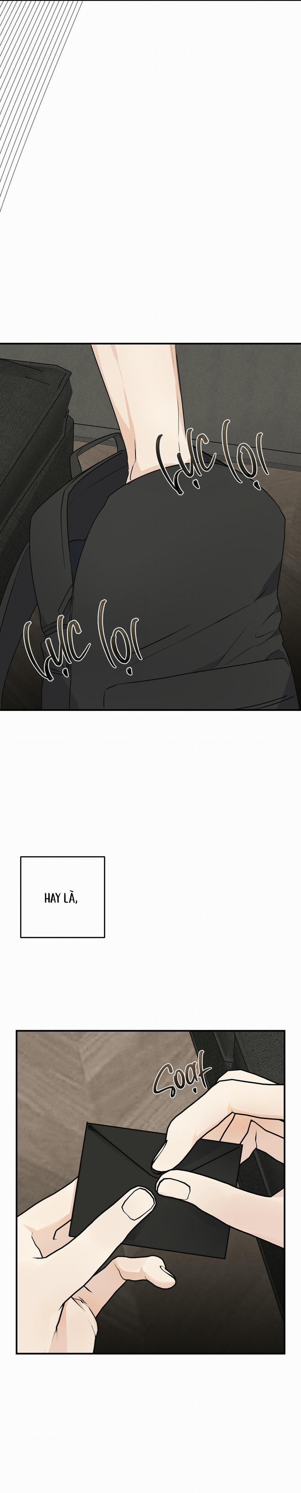 QUAN HỆ CỘNG SINH CỦA MẶT TRĂNG VÀ MẶT TRỜI 8 trang 12