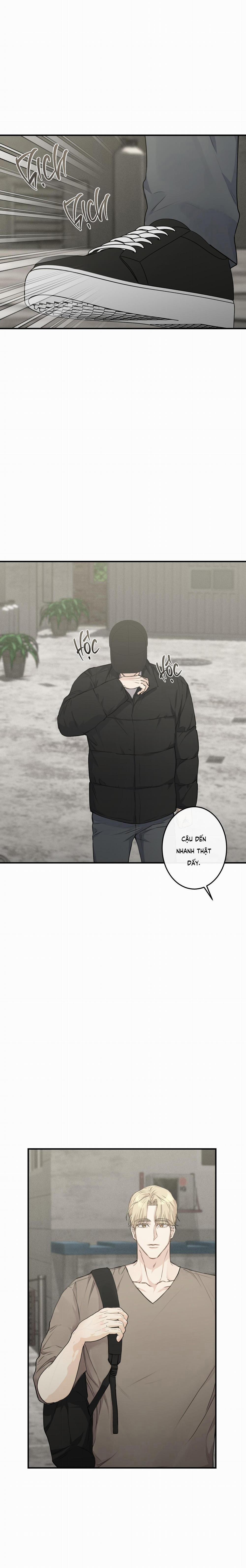 QUAN HỆ CỘNG SINH CỦA MẶT TRĂNG VÀ MẶT TRỜI 8 trang 21