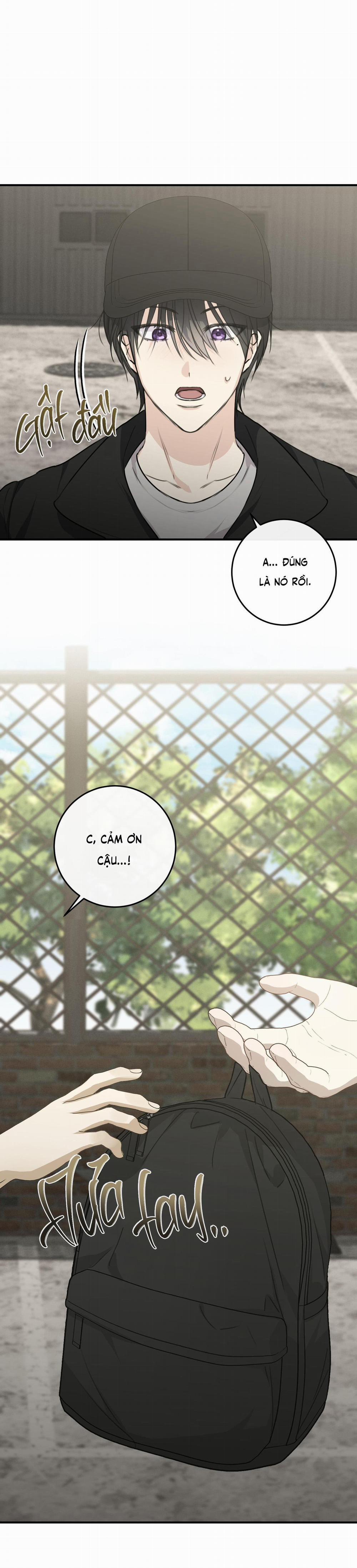 QUAN HỆ CỘNG SINH CỦA MẶT TRĂNG VÀ MẶT TRỜI 8 trang 23